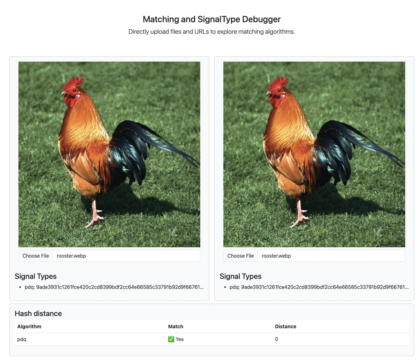 Match debug is matching
