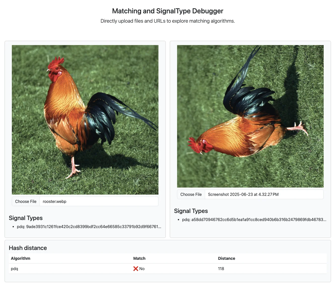 Match debug no match