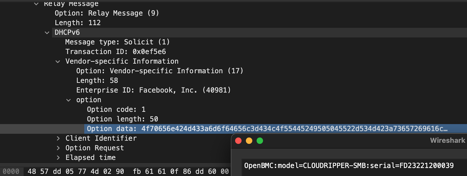 DHCPv6 Option 17 Encoding Example